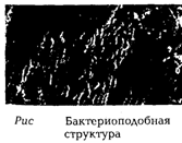 Концепции современного естествознания