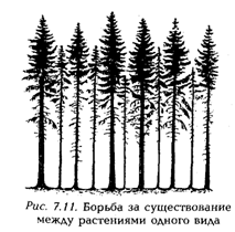 Концепции современного естествознания