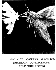 Концепции современного естествознания