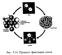 Концепции современного естествознания