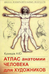 атлас анатомии человека для художника