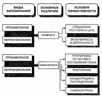 Реферат: Соотношение произвольной и непроизвольной памяти дошкольников