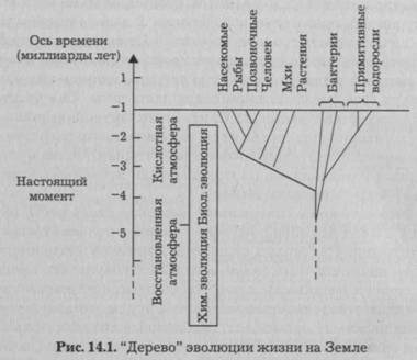 Реферат: Концепции возникновения жизни