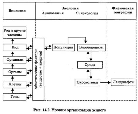 Доклад: Эволюция и самоорганизация химических систем. Макромолекулы и зарождение органической жизни