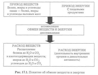 Учебное пособие: Концепции современного естествознания Гусейханов Раджабов