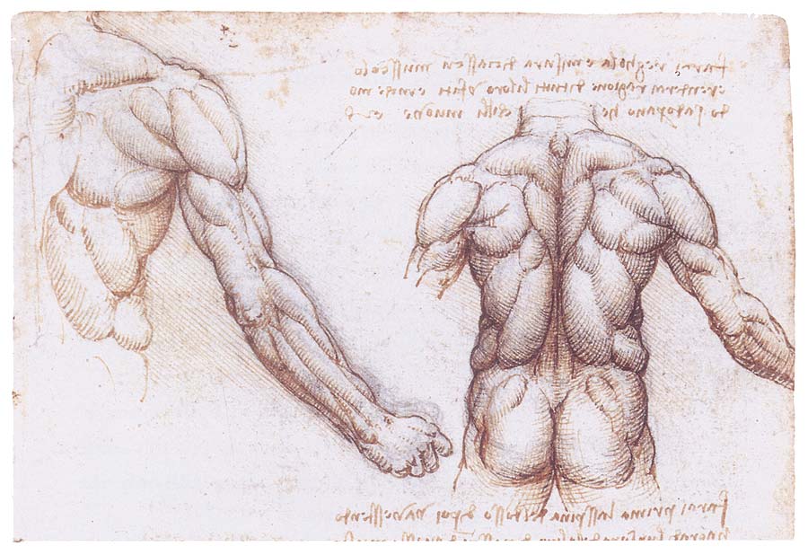 Леонардо да Винчи рисунки