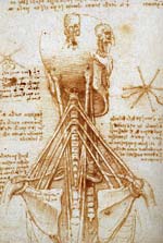 Леонардо да Винчи рисунки человека