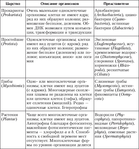 Реферат: Ядро и организмы