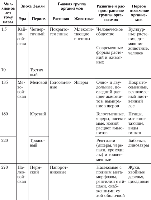 Реферат: Проявление симметрии в различных формах материи