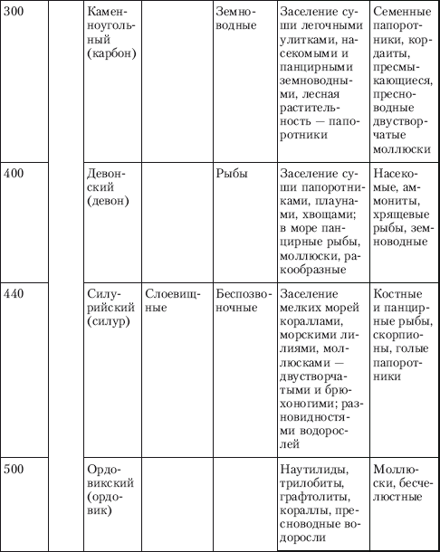 Реферат: Организация и самоорганизация в живой природе