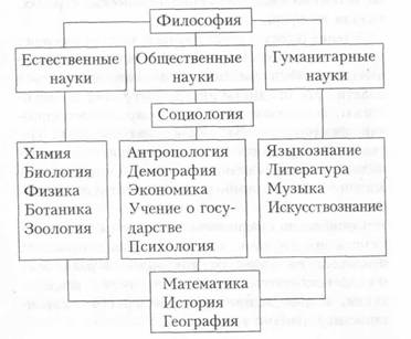 Шпаргалка: Соціологія як наука