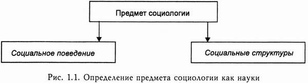 Контрольная работа: Современные социологические концепции