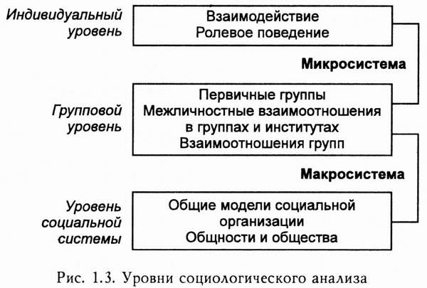 Контрольная работа: Современные социологические концепции