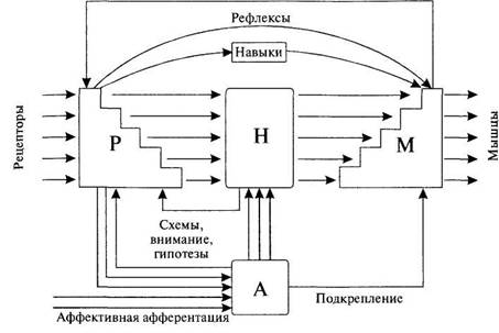 Величковский Б. Когнитивная наука: Основы психологии познания Информационный подход Найссер - электронная библиотека психолога